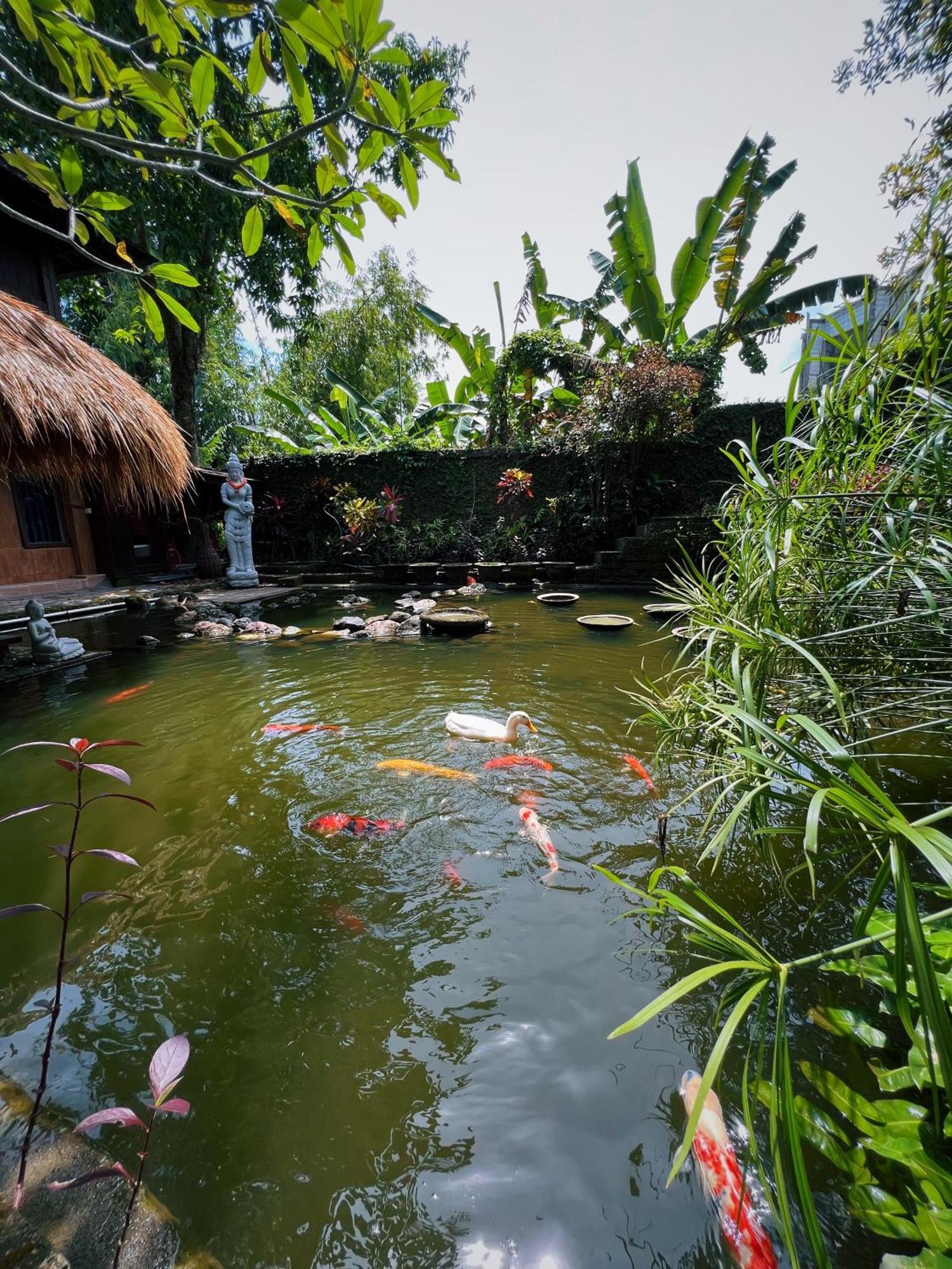 Villa Neshama Canggu Eksteriør bilde