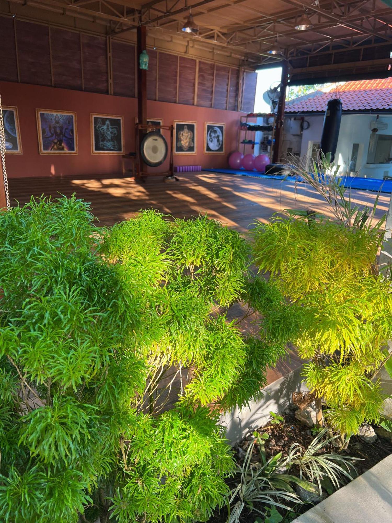Villa Neshama Canggu Eksteriør bilde
