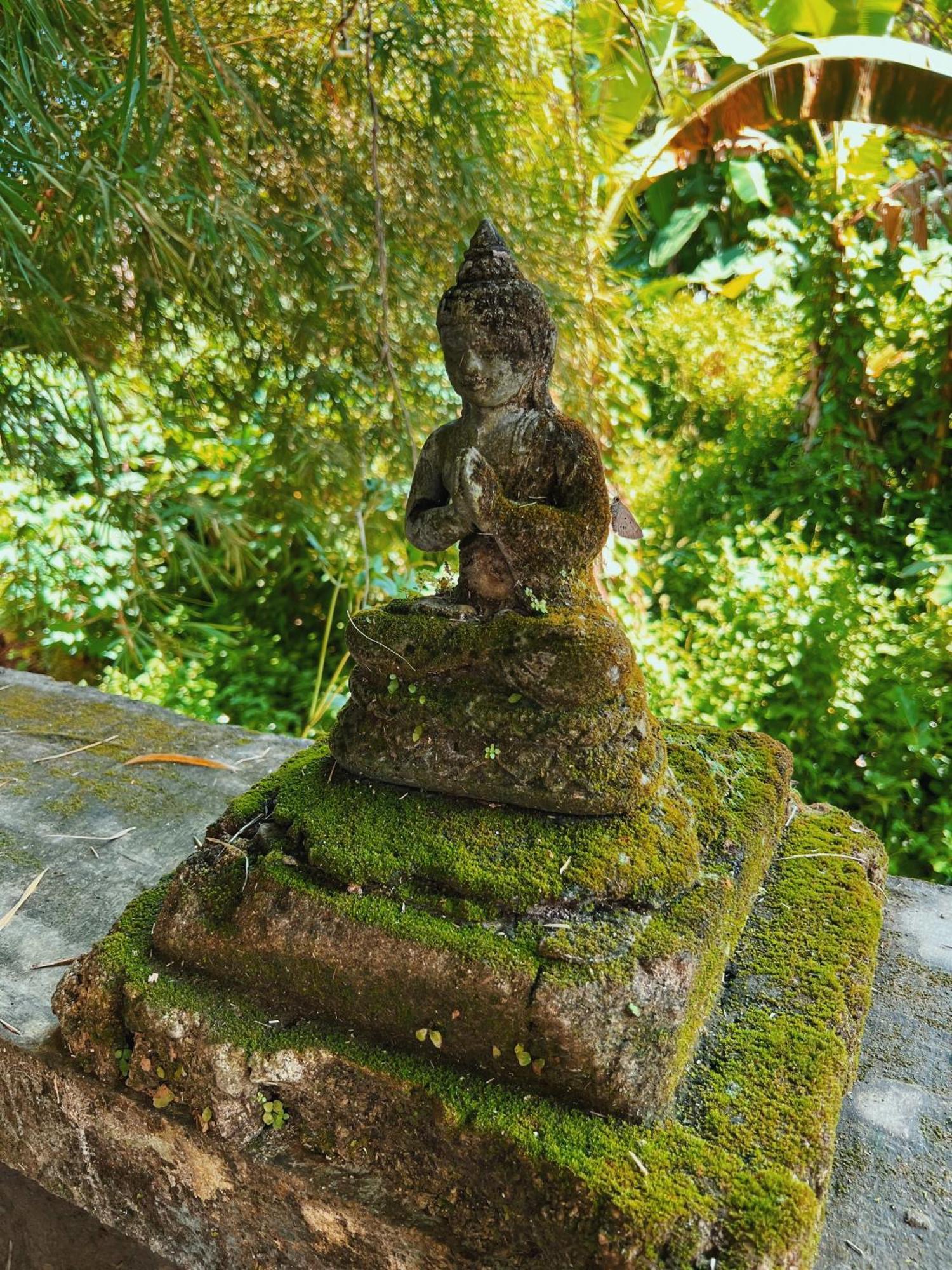 Villa Neshama Canggu Eksteriør bilde