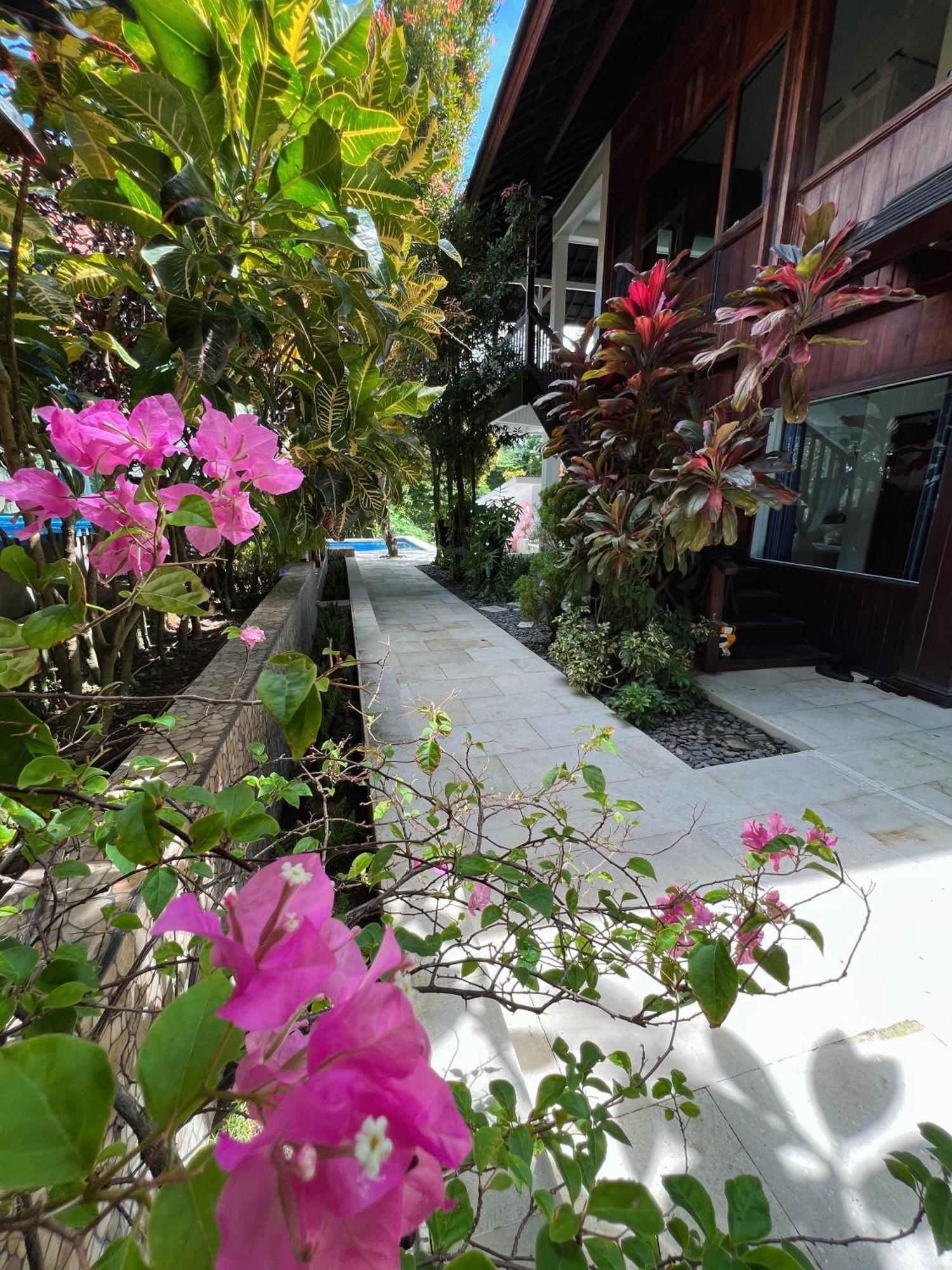Villa Neshama Canggu Eksteriør bilde