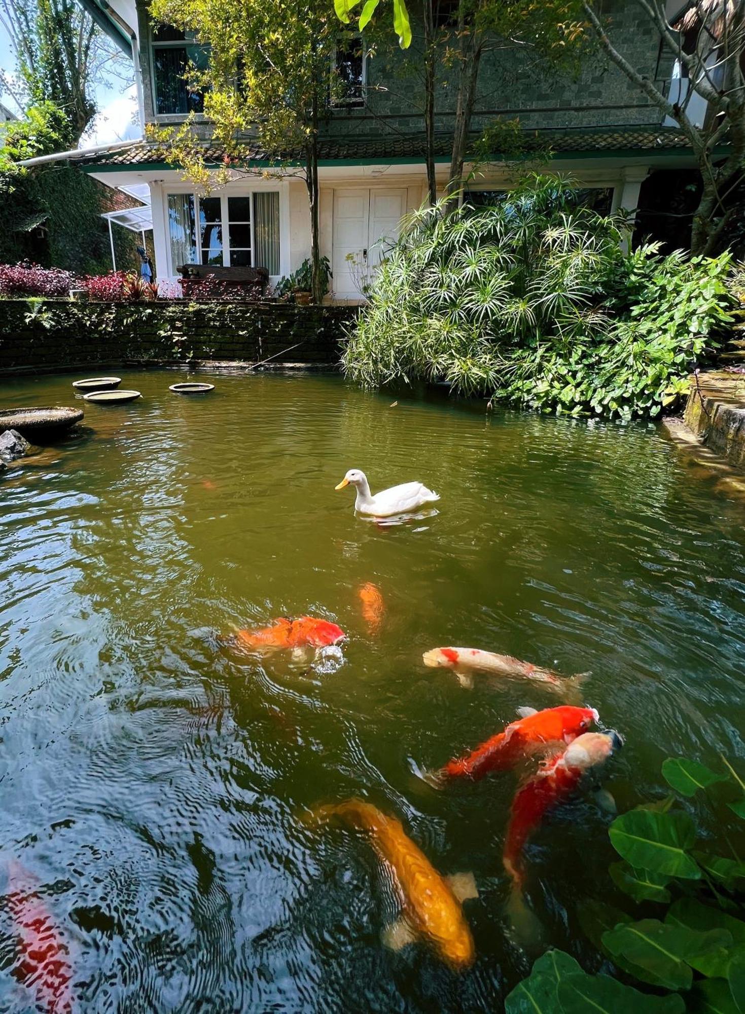 Villa Neshama Canggu Eksteriør bilde