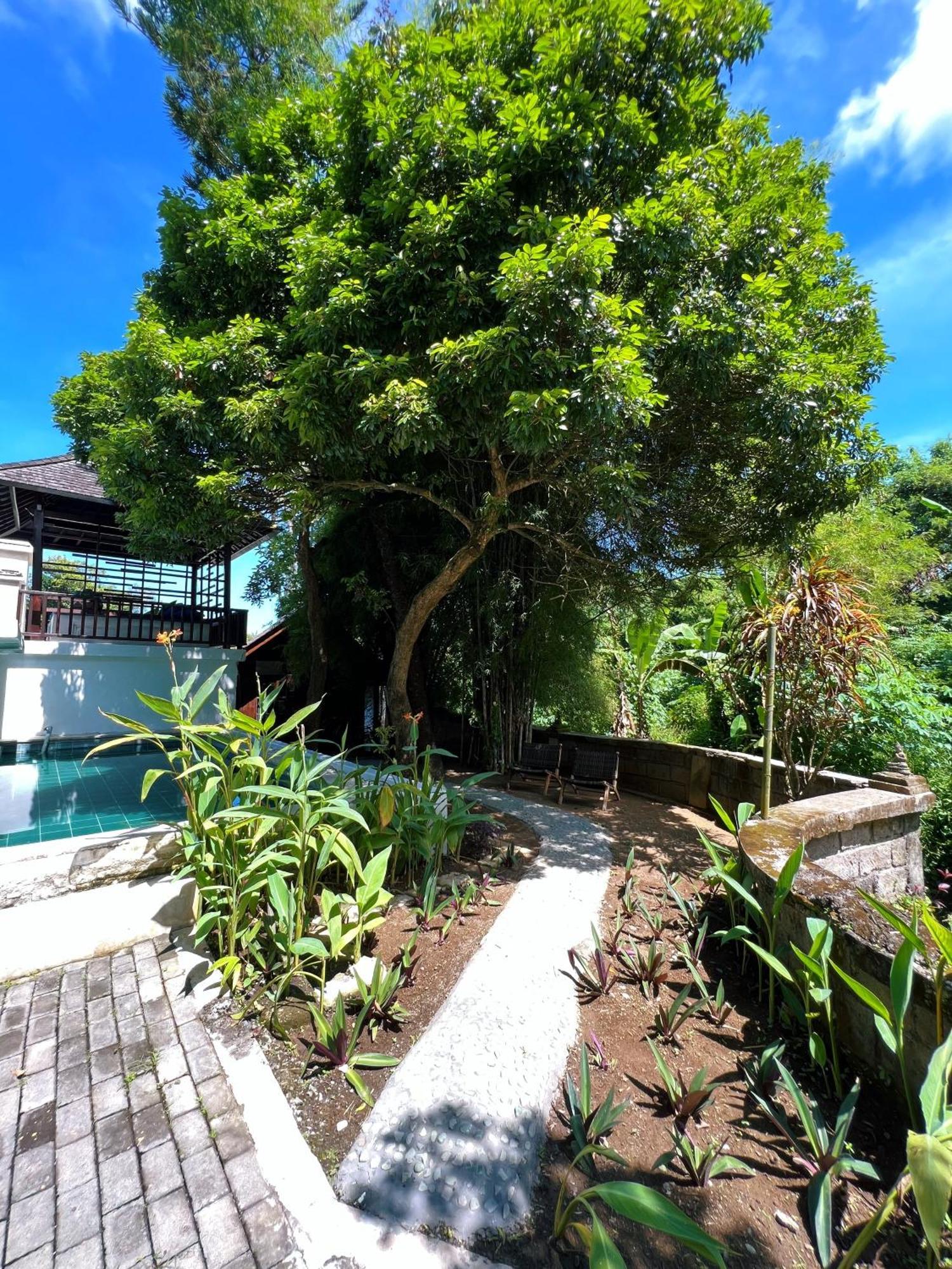 Villa Neshama Canggu Eksteriør bilde
