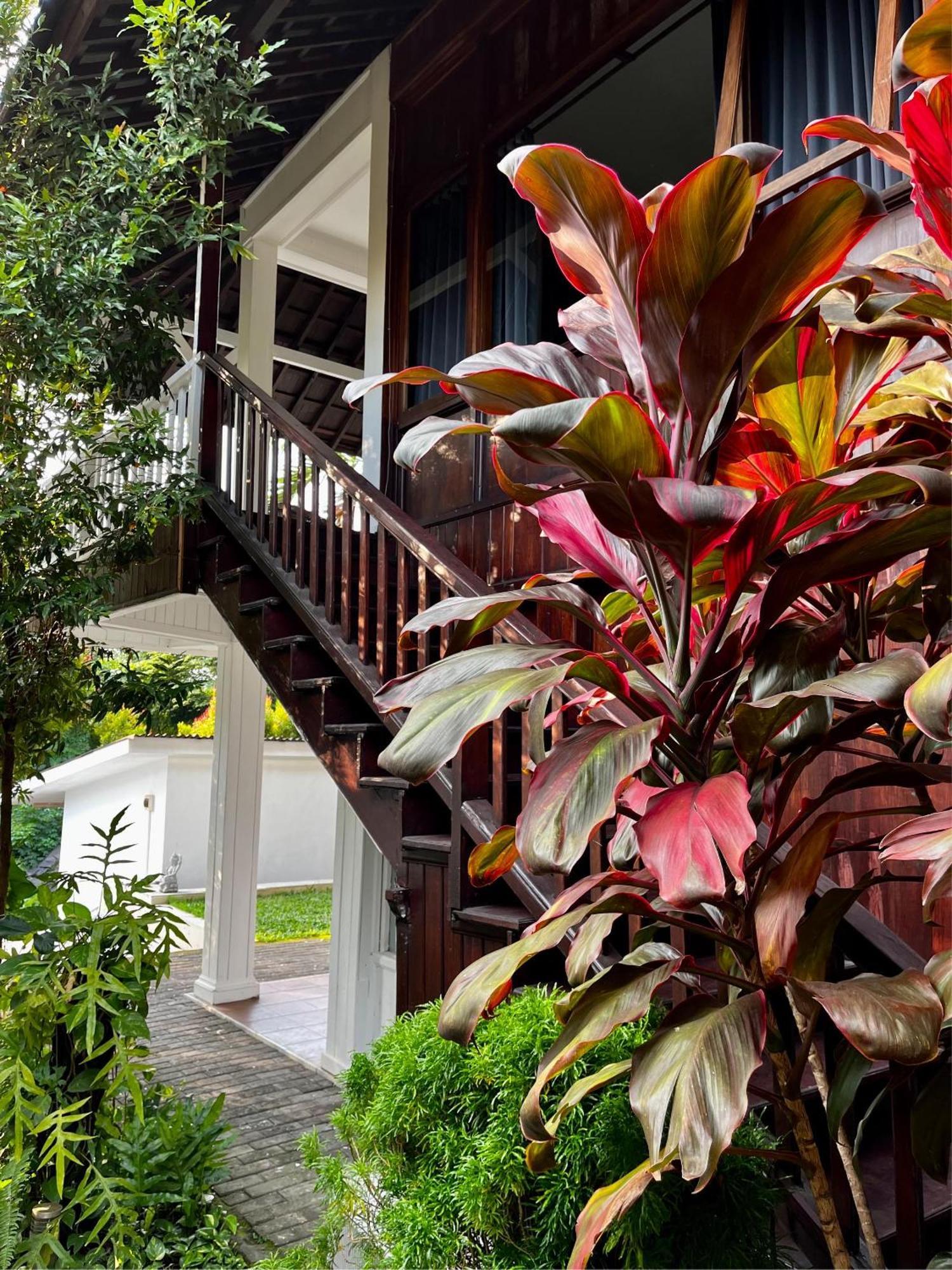 Villa Neshama Canggu Eksteriør bilde